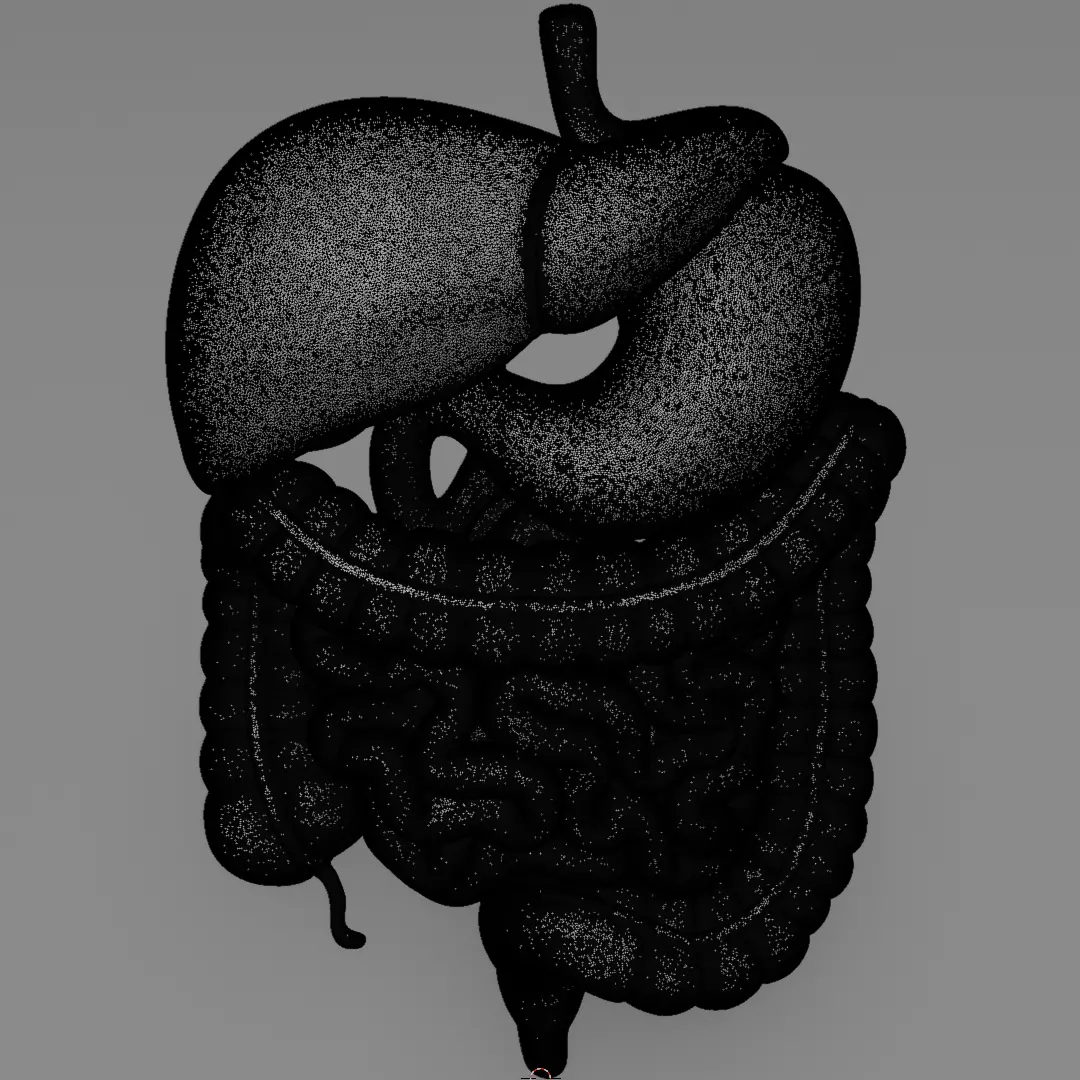 Human Digestive System 3D Printing Anatomical Structure 3D print model_11