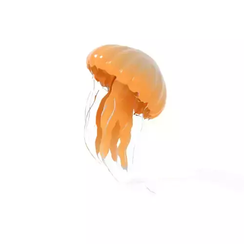 Elegant Jellyfish model pack Low-poly 3D model