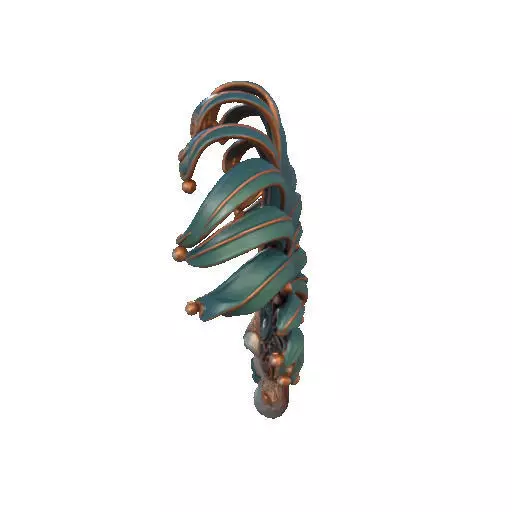 2467 Venetian Carnival Mask Color 3D Model 3D print model_29