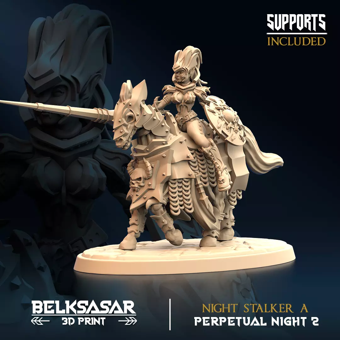 Vampire Night Stalker A 3D print model