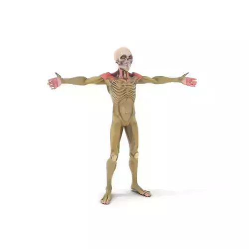 Spectral Mutant Creature model pack Low-poly 3D model