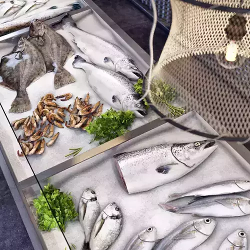 Showcase with fish and seafood 3D model