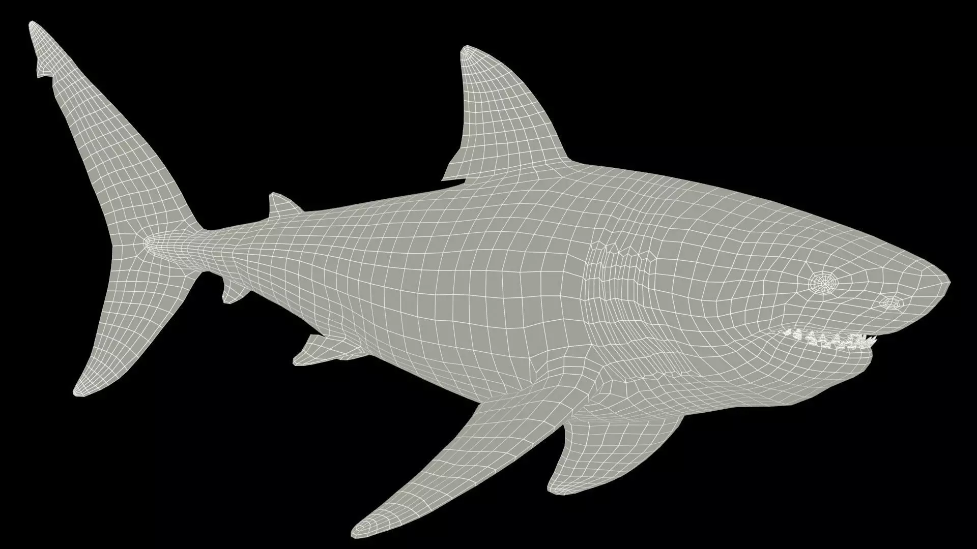 Great White Shark Low-poly 3D model_6