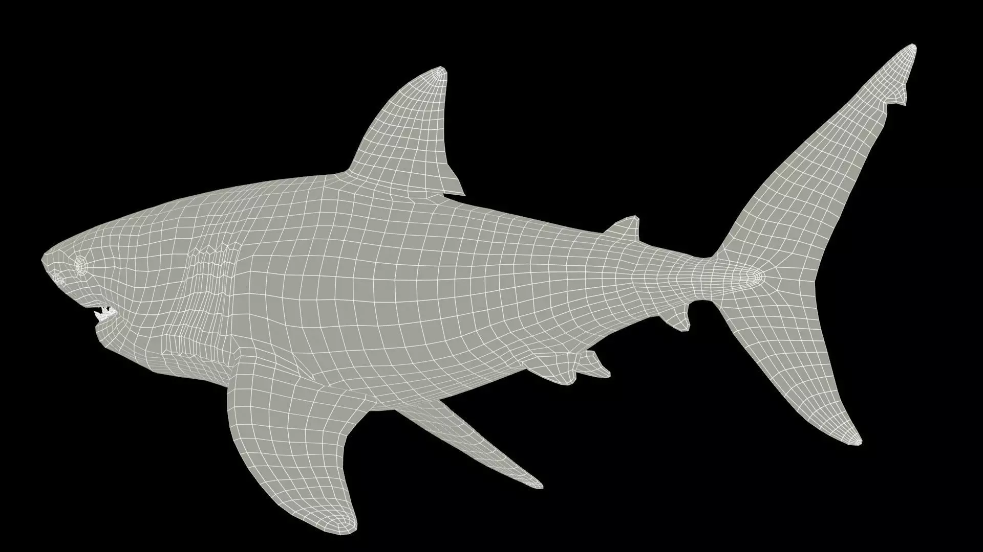 Great White Shark Low-poly 3D model_7