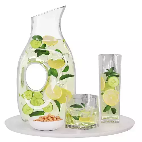 N29 DECANTER Infused Water Set  Lemon and Cucumber  Mint