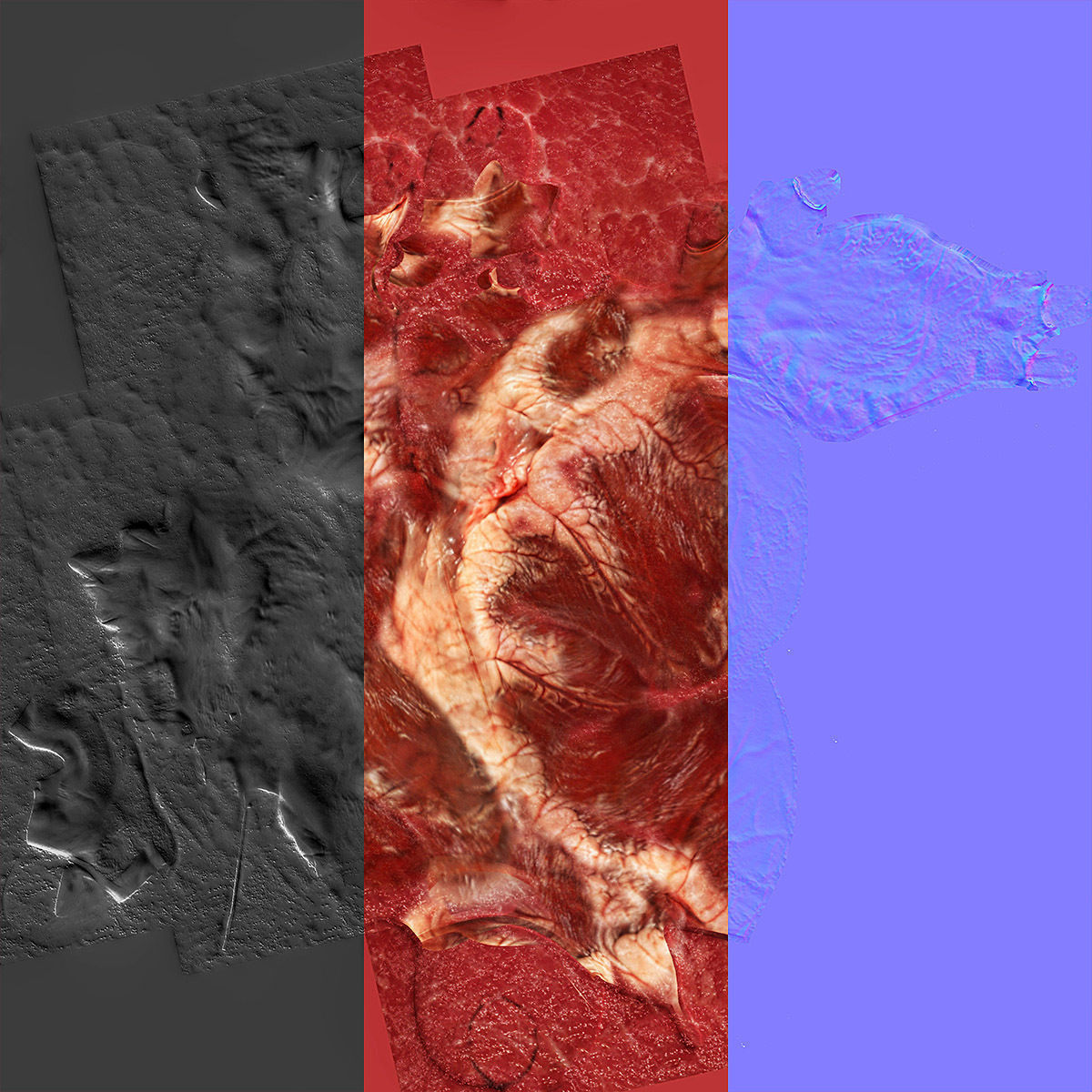 Accurate human heart 3D model_8