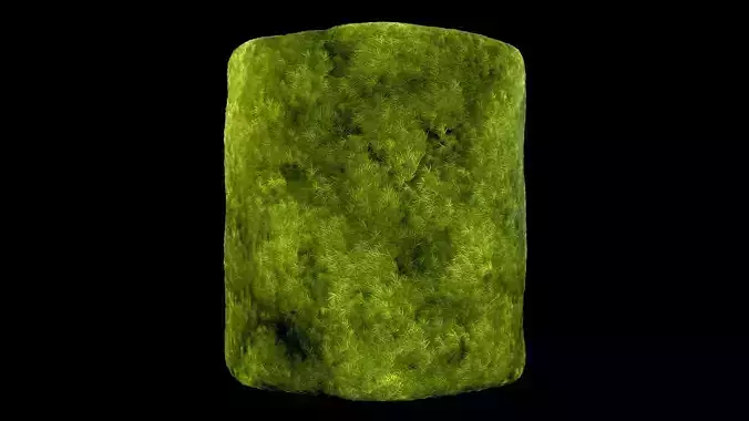 Broom Fork Moss Sparse Version Substance Material and Texture
