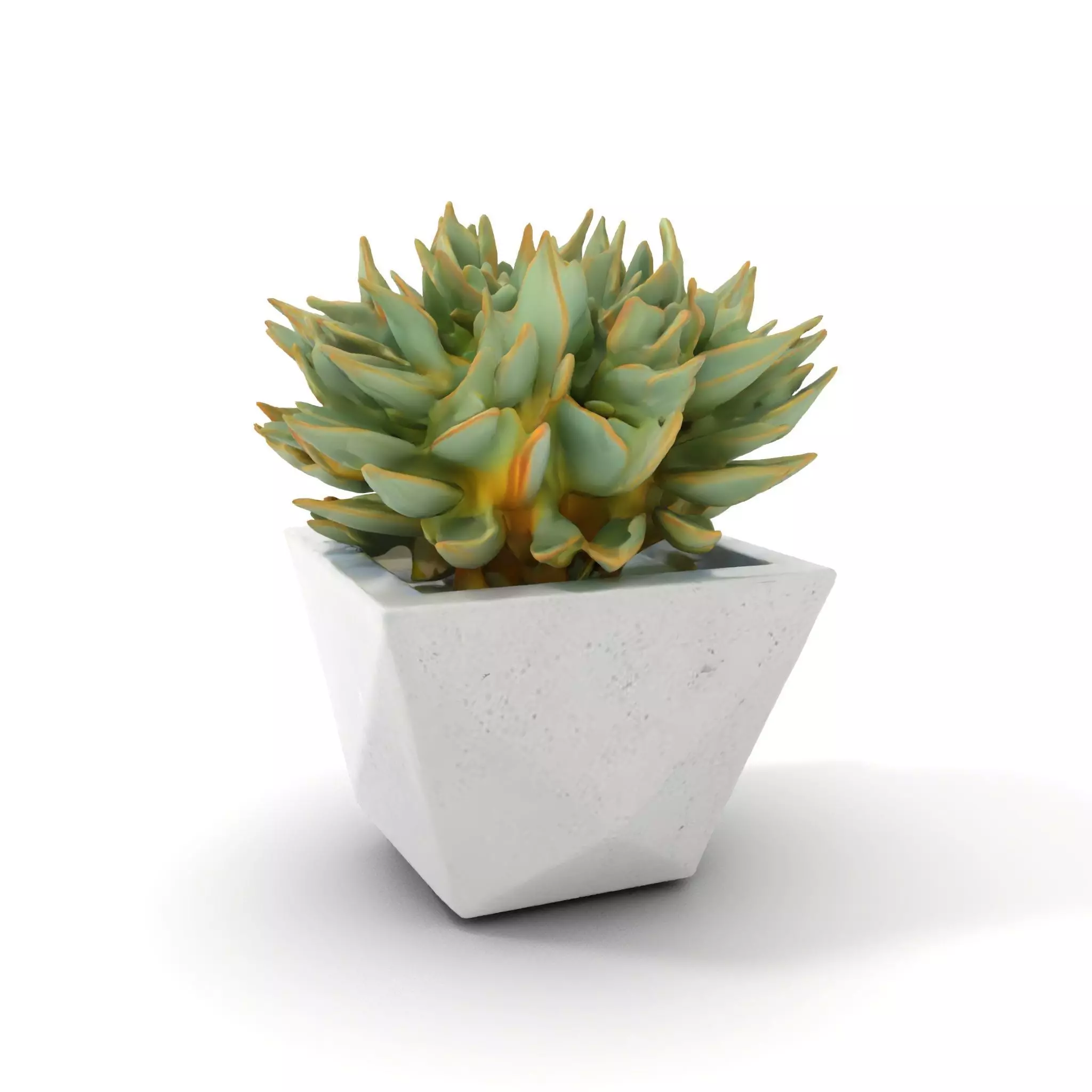 Geometric Succulent Planter model pack Low-poly 3D model_0