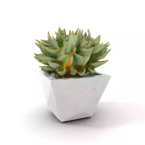 Geometric Succulent Planter model pack