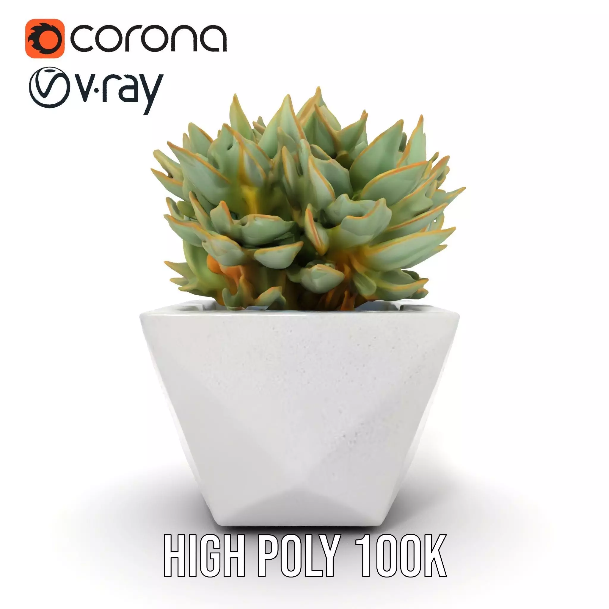Geometric Succulent Planter model pack Low-poly 3D model_21