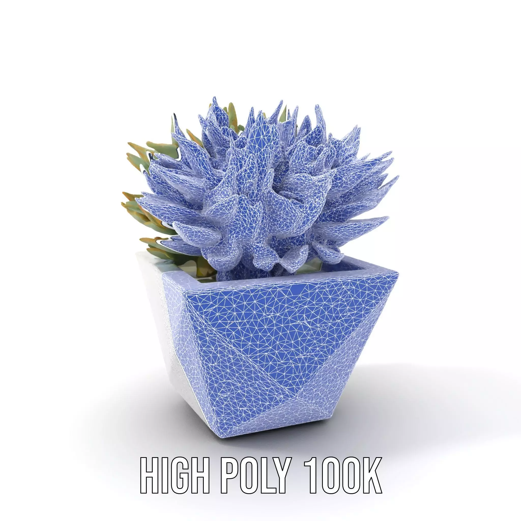 Geometric Succulent Planter model pack Low-poly 3D model_29