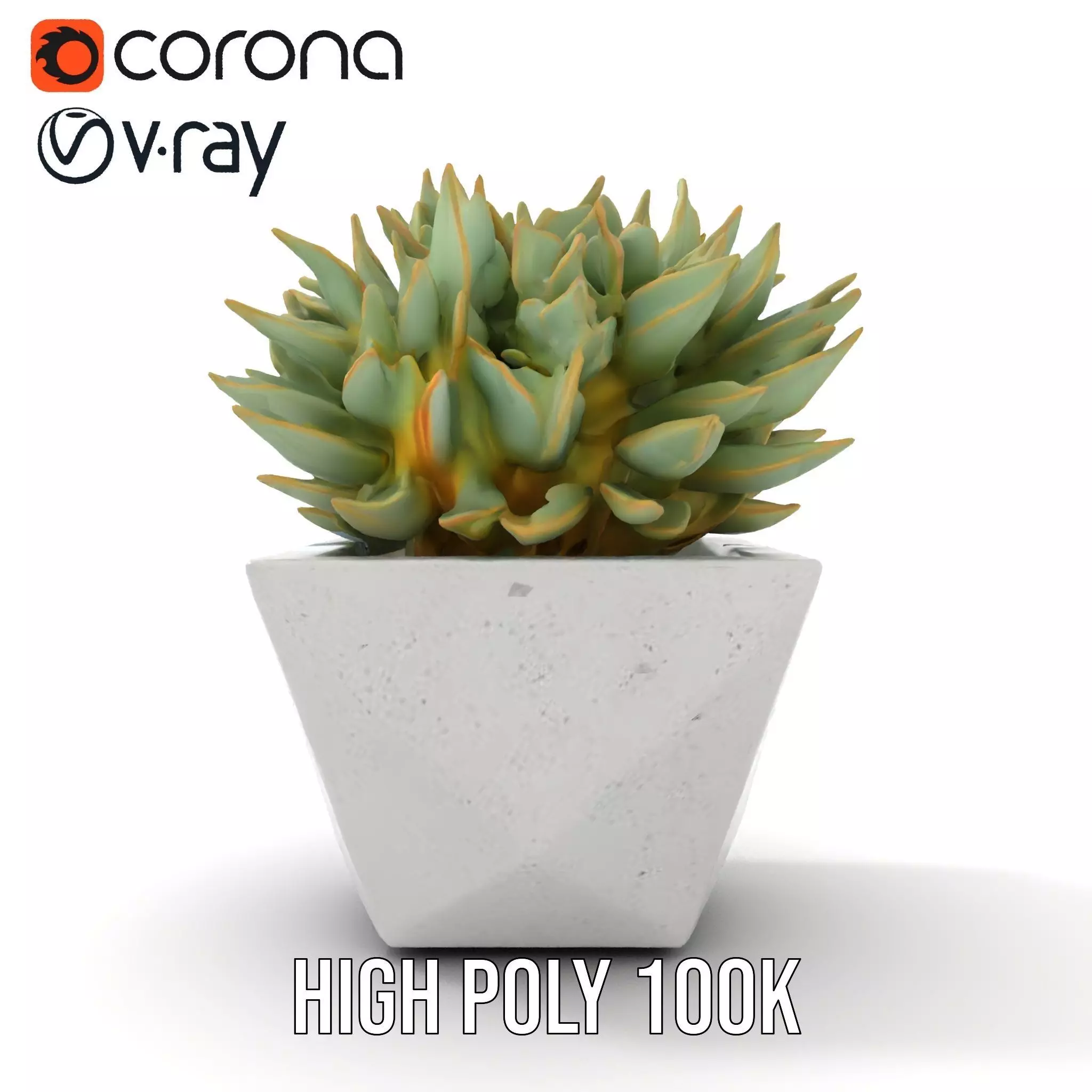 Geometric Succulent Planter model pack Low-poly 3D model_9