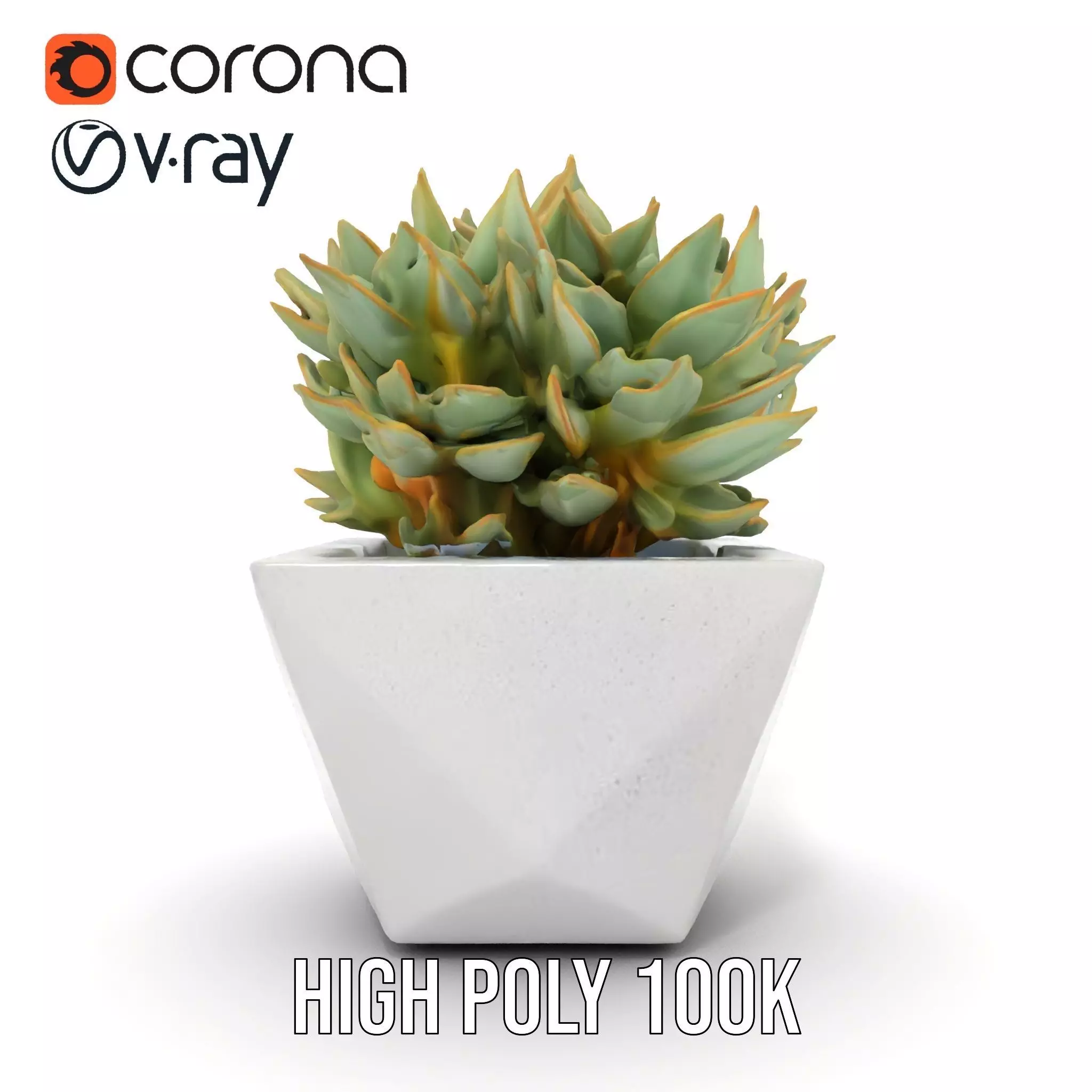 Geometric Succulent Planter model pack Low-poly 3D model_14