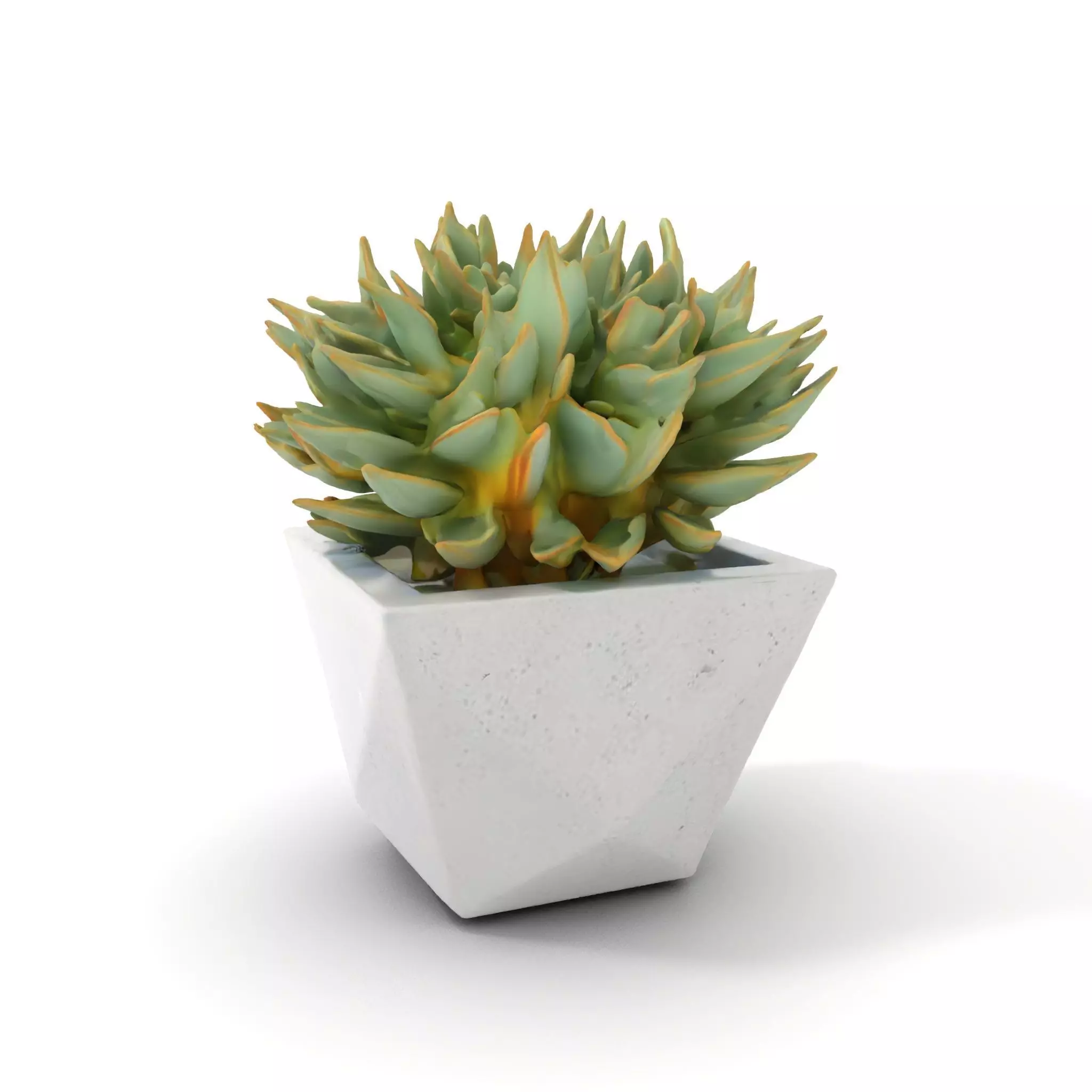 Geometric Succulent Planter model pack Low-poly 3D model_6