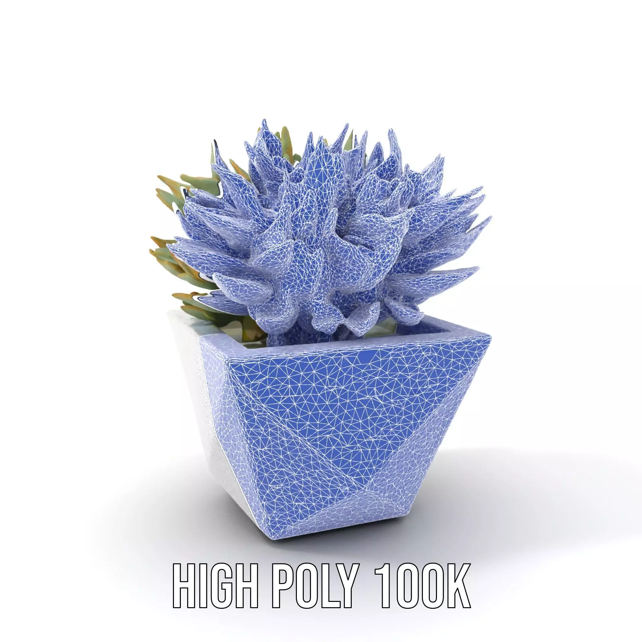 Geometric Succulent Planter model pack Low-poly 3D model_4