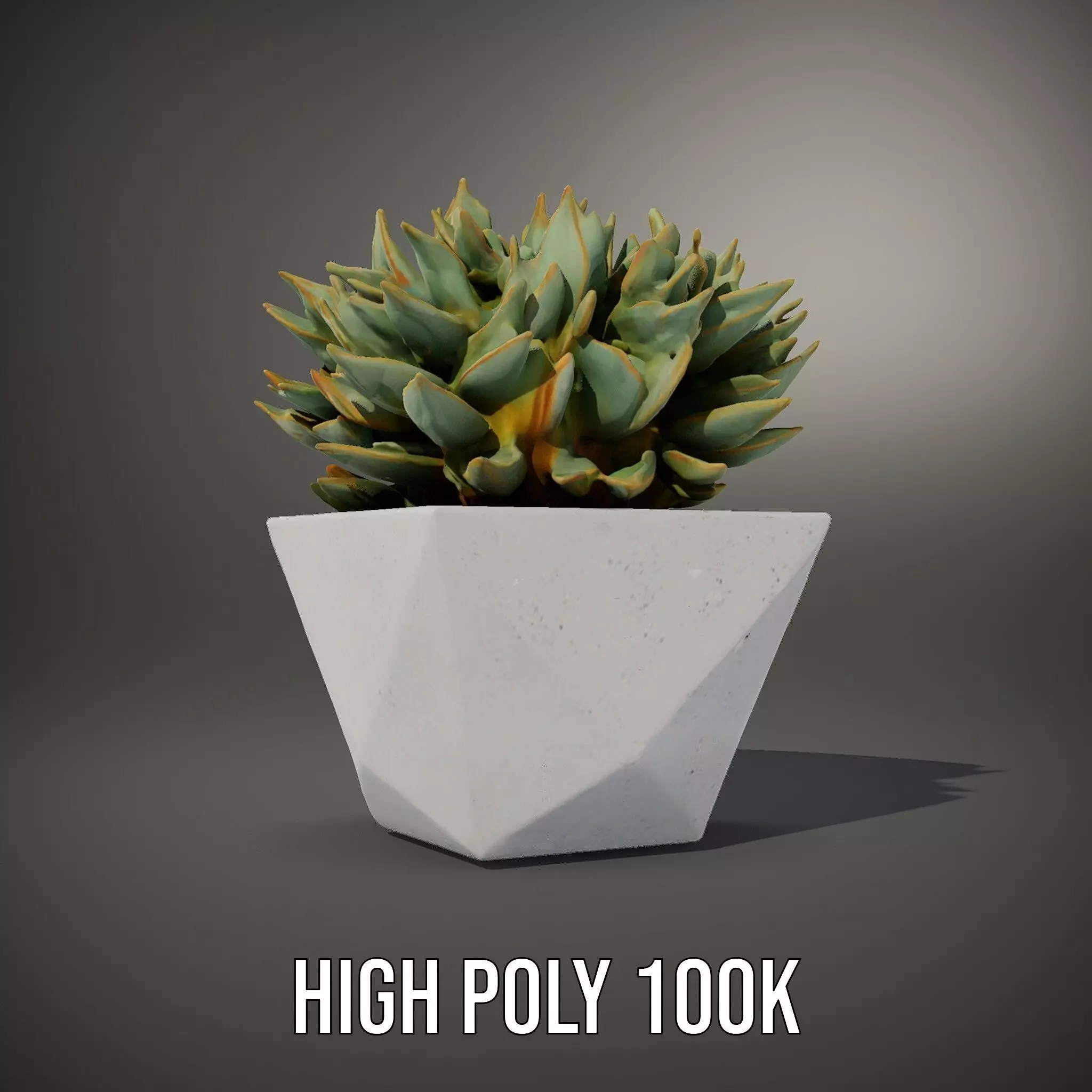 Geometric Succulent Planter model pack Low-poly 3D model_10