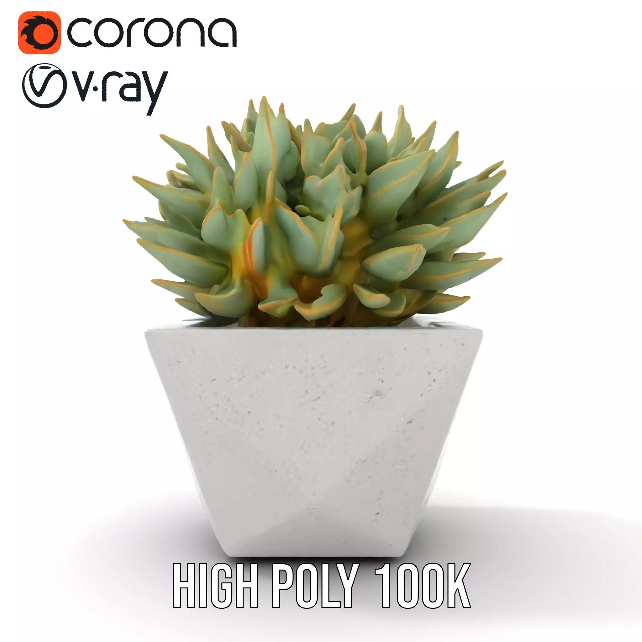 Geometric Succulent Planter model pack Low-poly 3D model_11