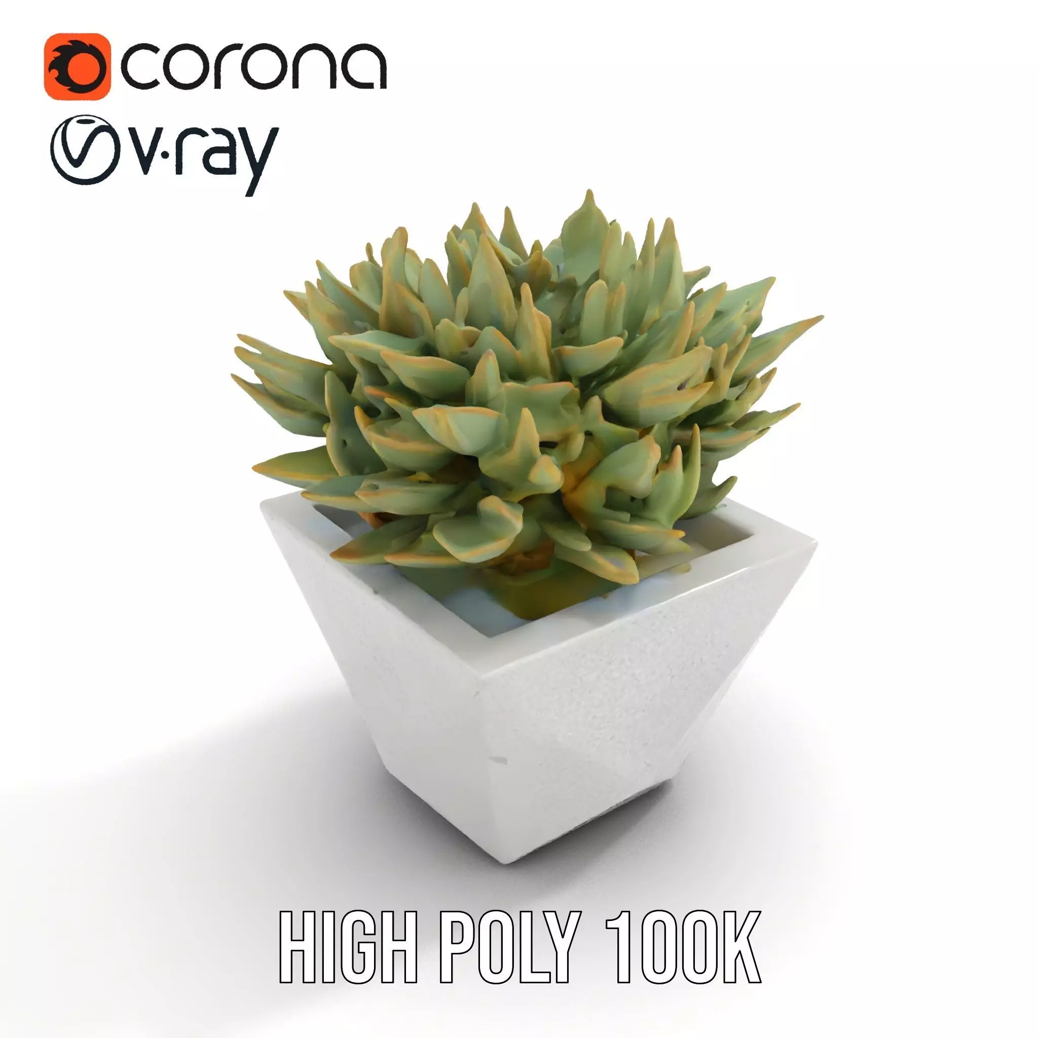Geometric Succulent Planter model pack Low-poly 3D model_23