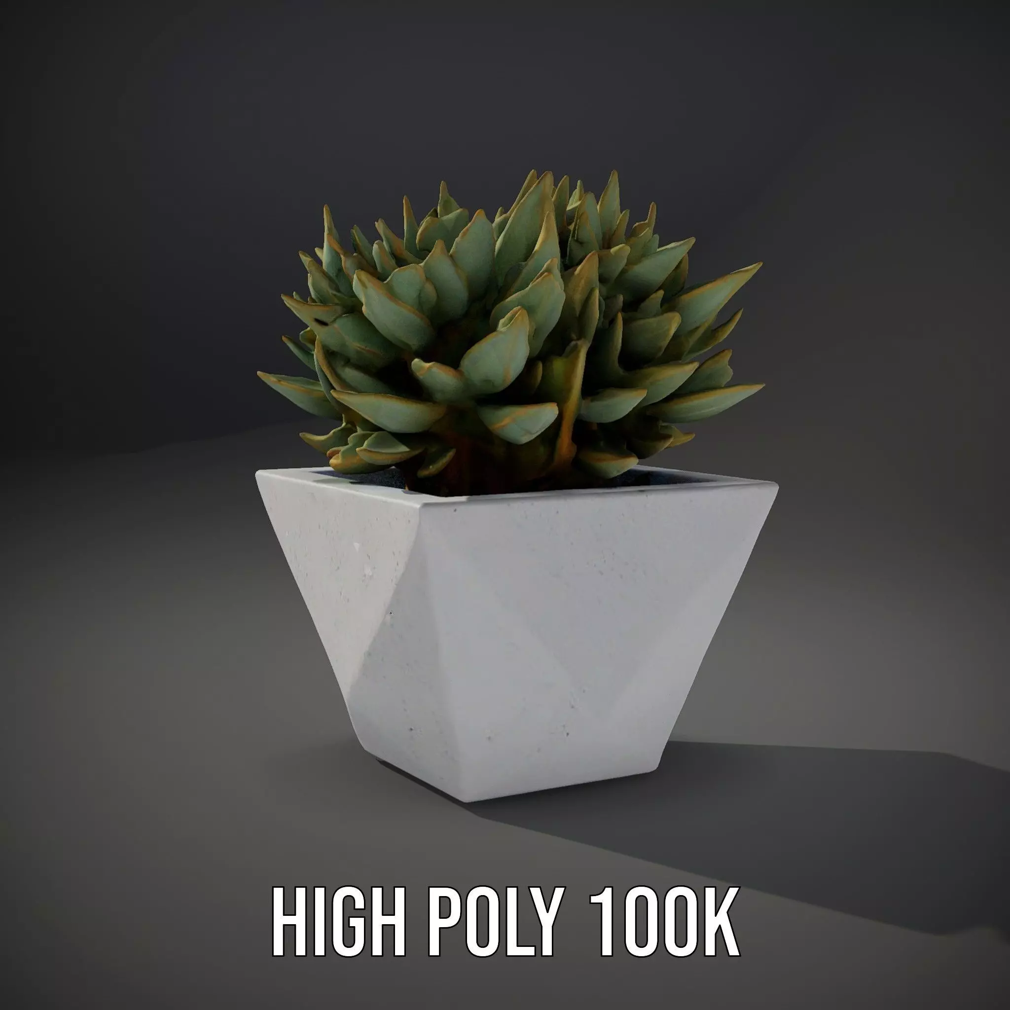 Geometric Succulent Planter model pack Low-poly 3D model_8