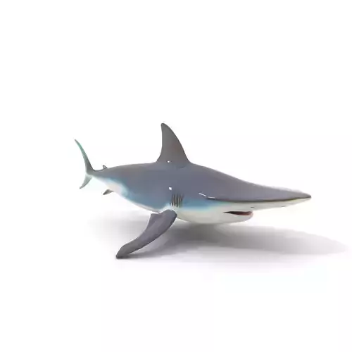 Hammerhead Shark Animated model pack Low-poly 3D model
