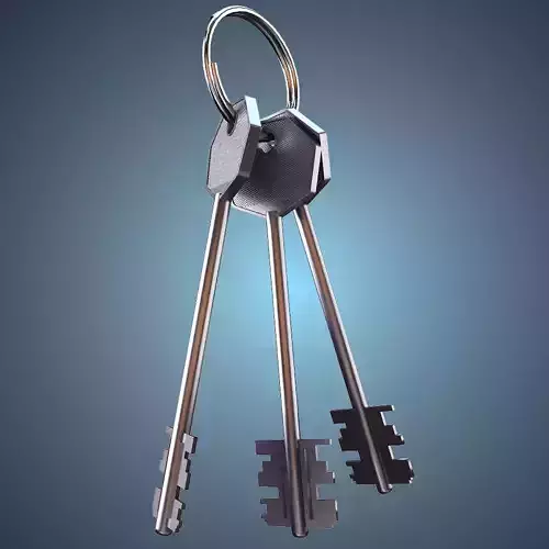 Bunch of keys 3D model