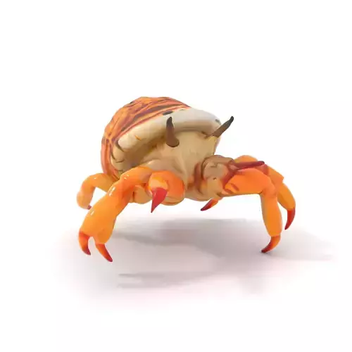 Detailed Hermit Crab model pack Low-poly 3D model
