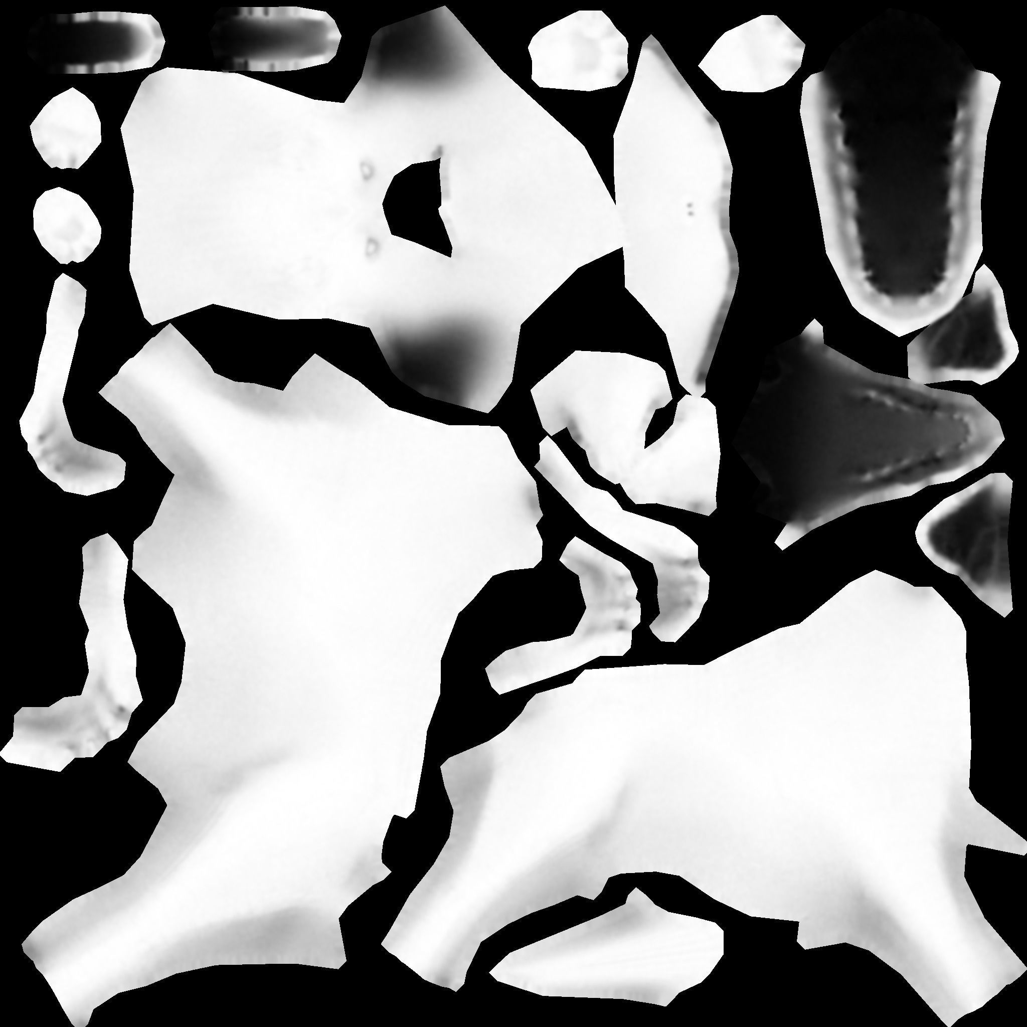 Labrador Dog Low-poly 3D model_3