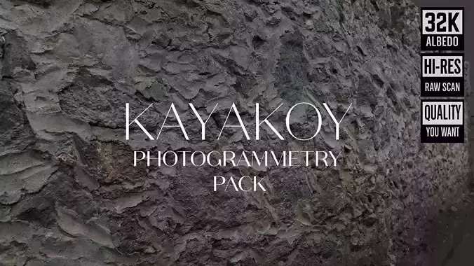 Abandoned Village Surface Scan - Stone Wall 11