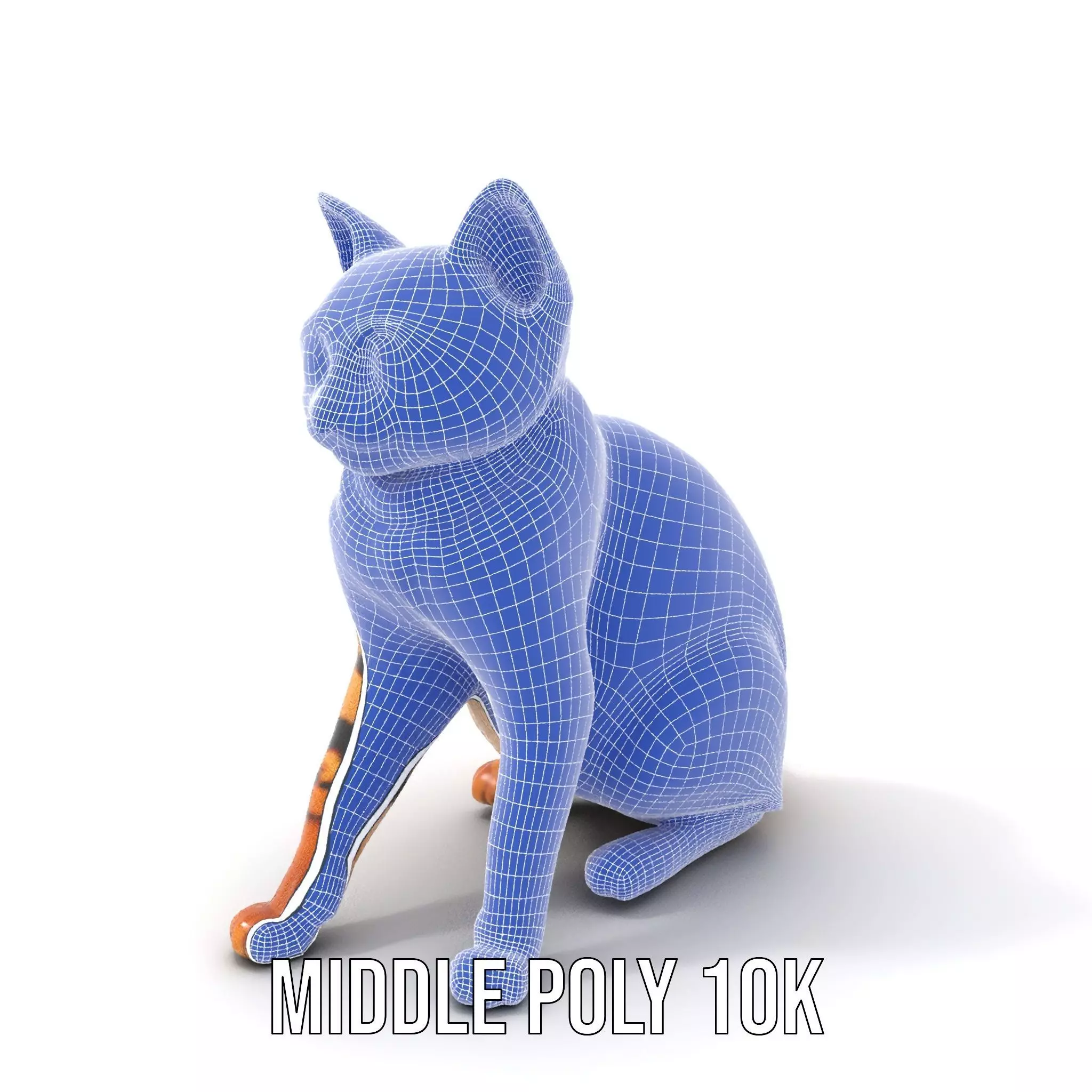 Spotted Bengal Cat model pack Low-poly 3D model_6