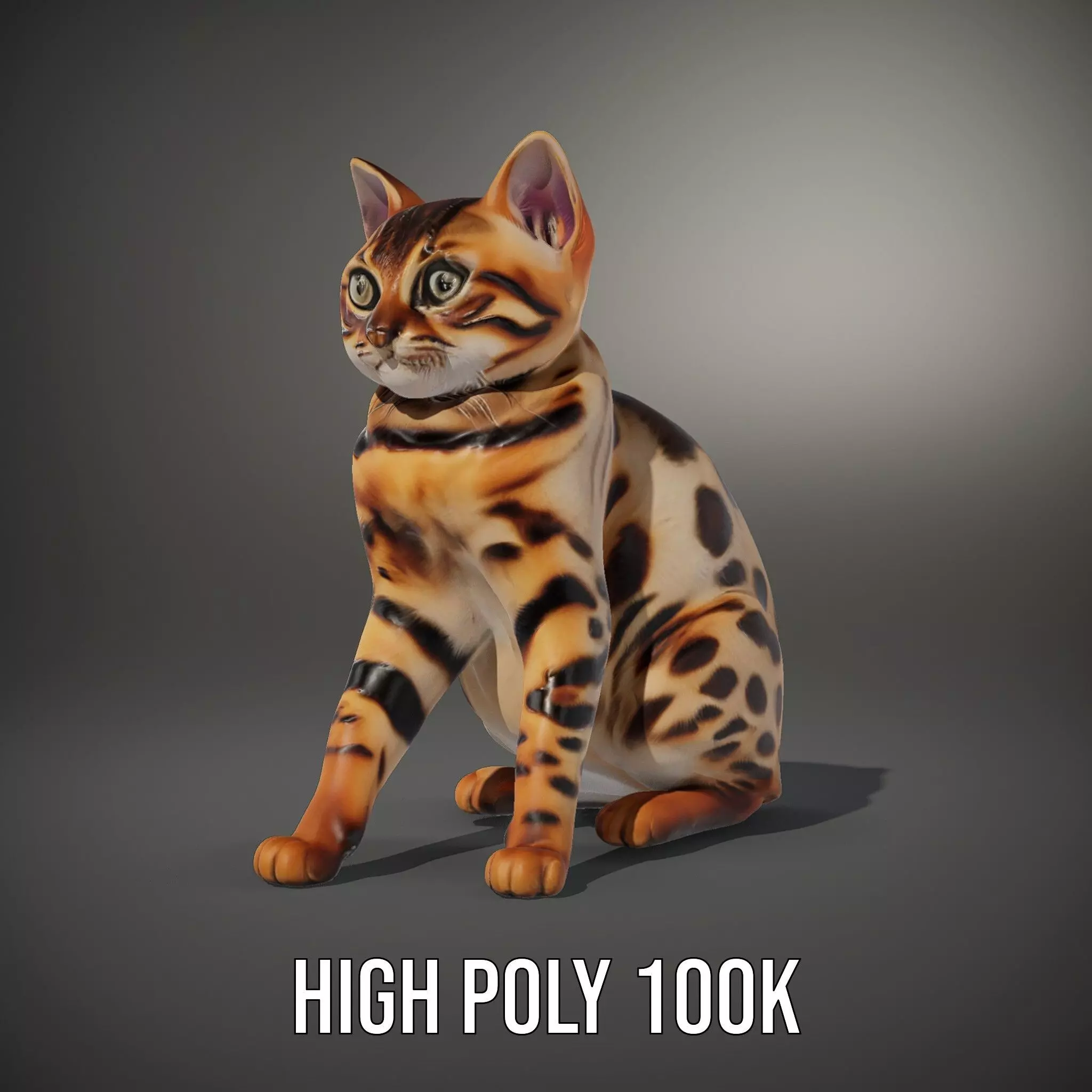 Spotted Bengal Cat model pack Low-poly 3D model_8