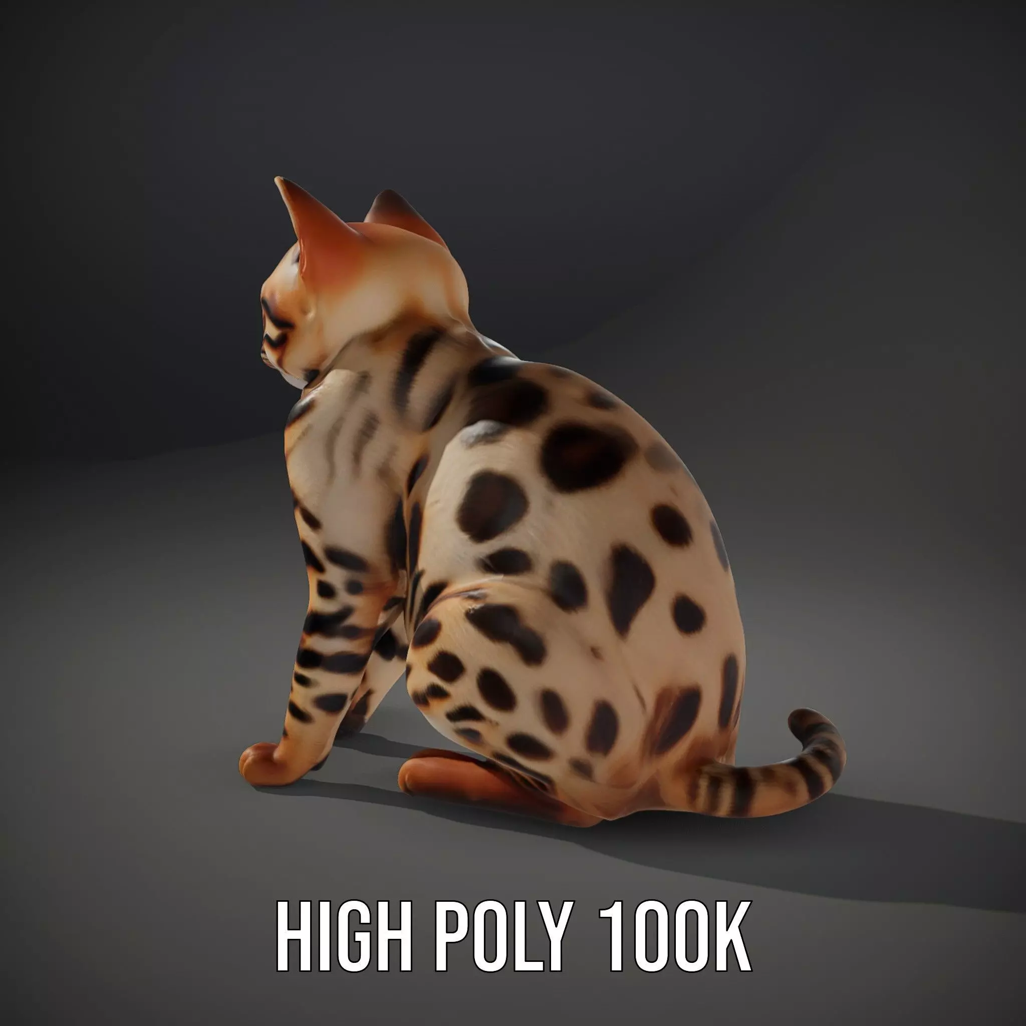 Spotted Bengal Cat model pack Low-poly 3D model_10
