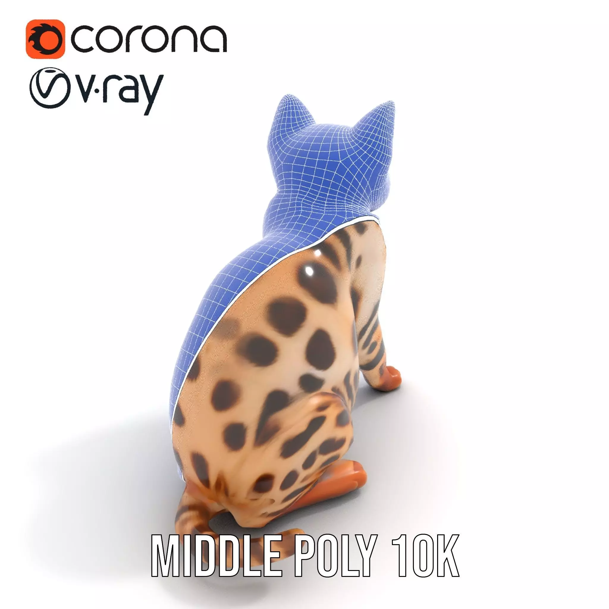 Spotted Bengal Cat model pack Low-poly 3D model_27