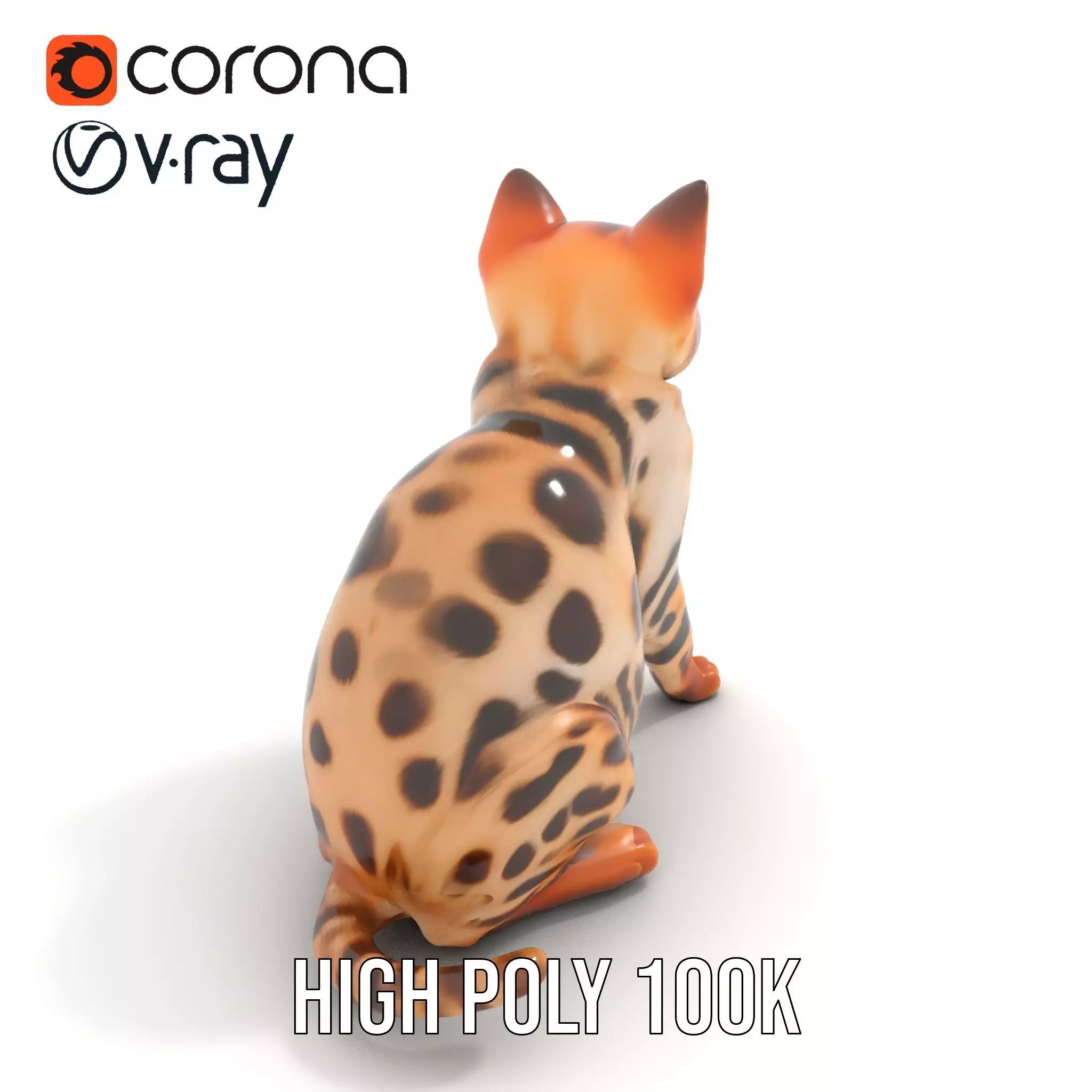 Spotted Bengal Cat model pack Low-poly 3D model_17