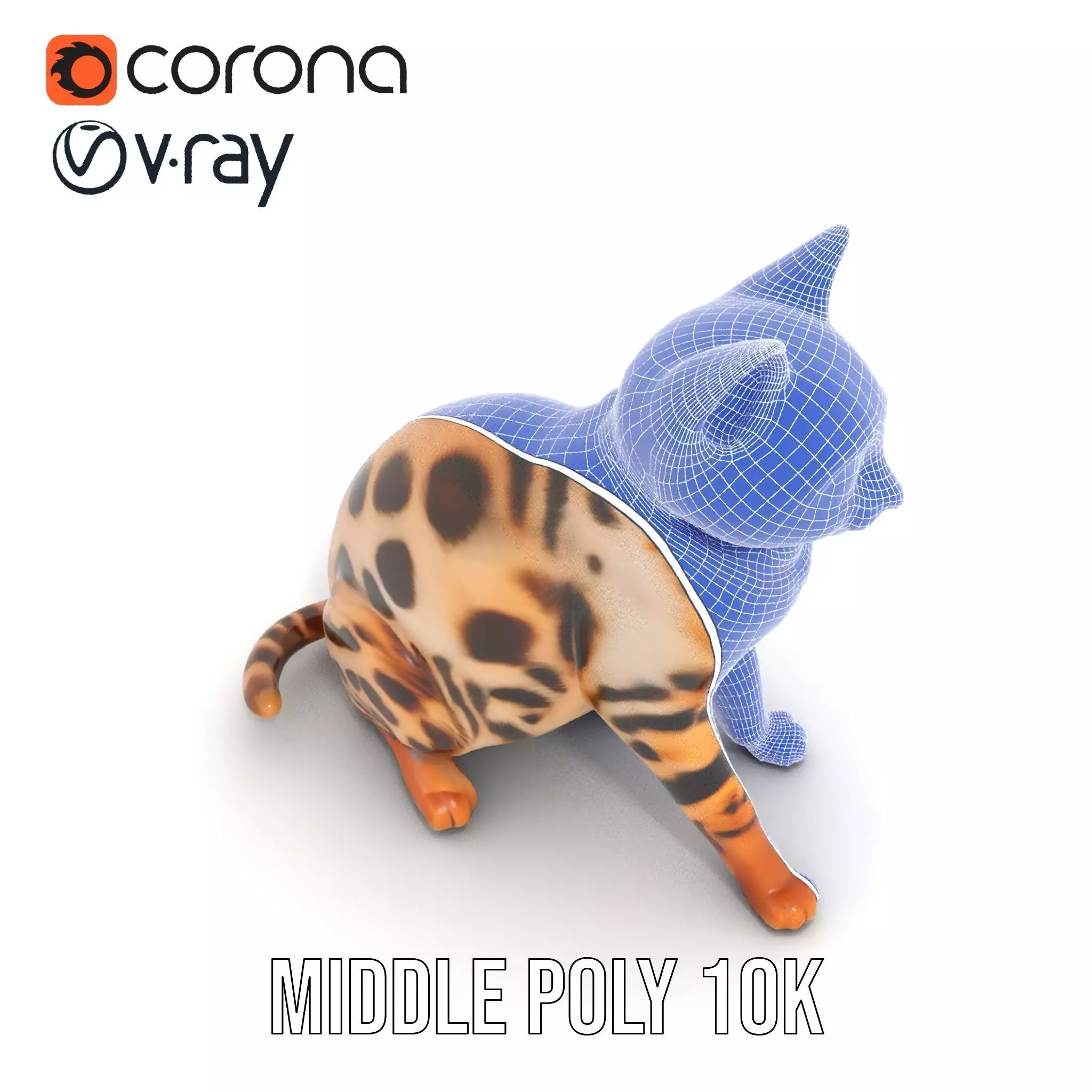 Spotted Bengal Cat model pack Low-poly 3D model_30