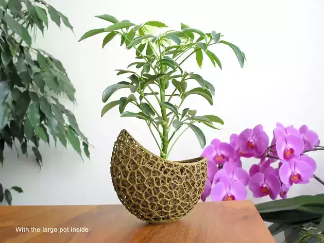 A 2-part burgeoning capsule Planter 3D print model