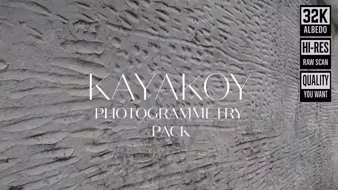 Abandoned Village Surface Scan - Stone Wall 12