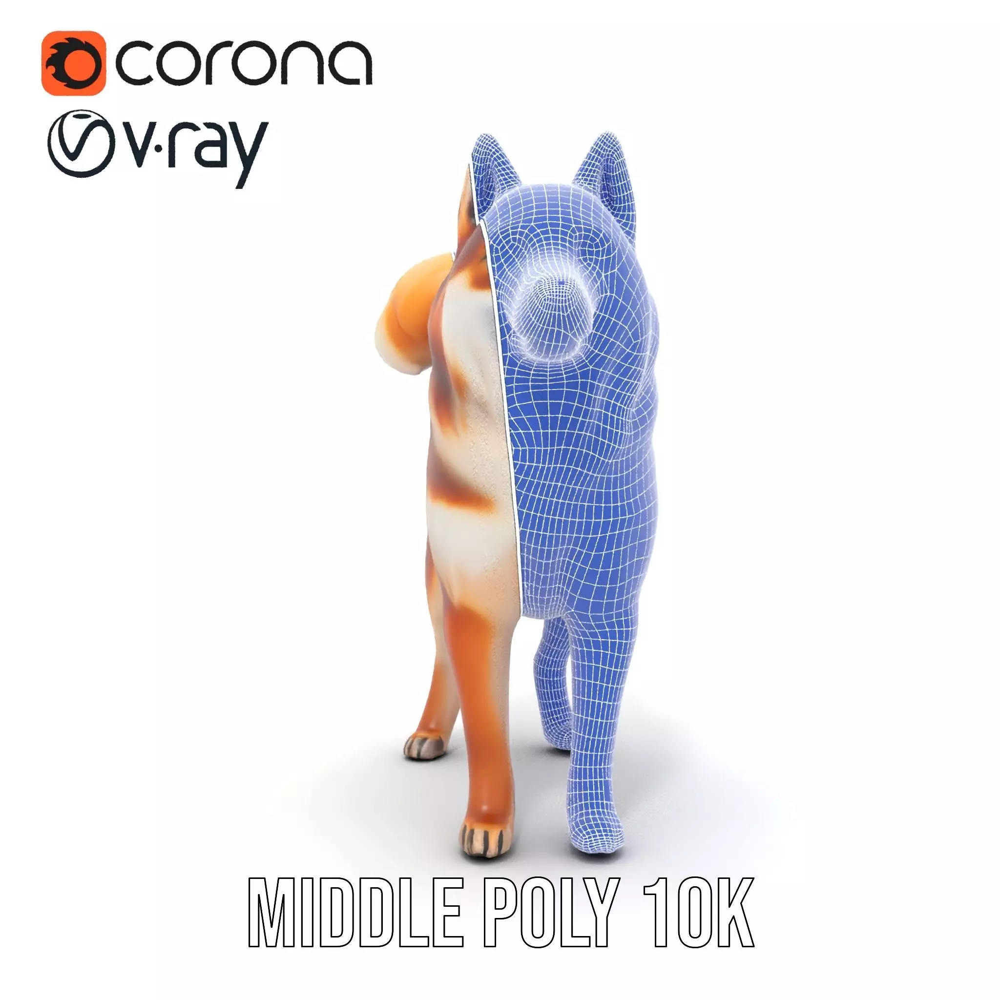 Shiba Inu Fur model pack Low-poly 3D model_21