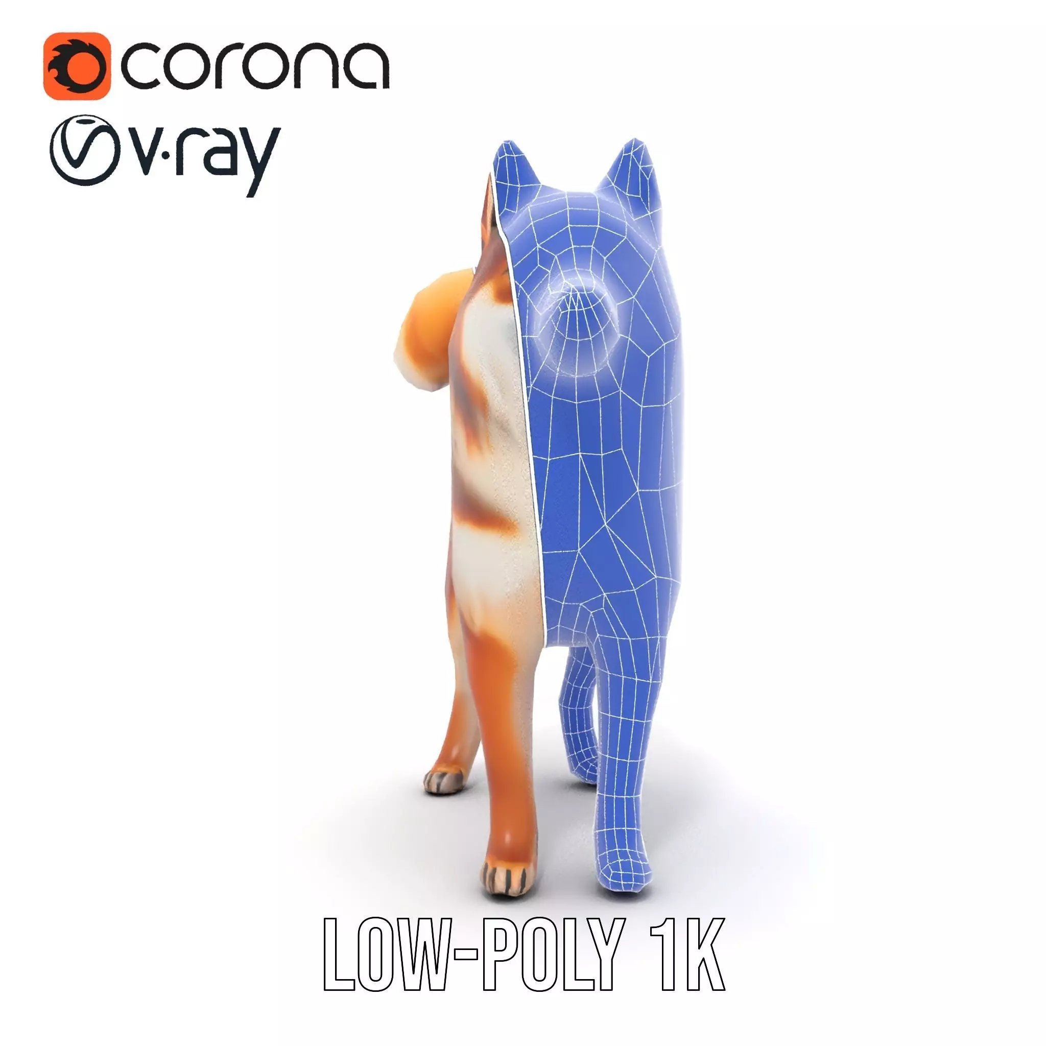 Shiba Inu Fur model pack Low-poly 3D model_25
