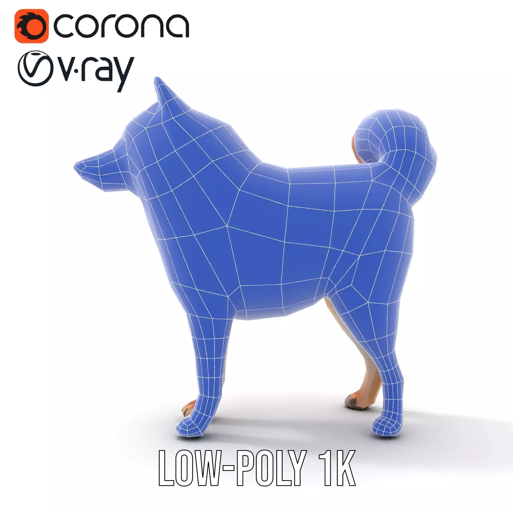 Shiba Inu Fur model pack Low-poly 3D model_28