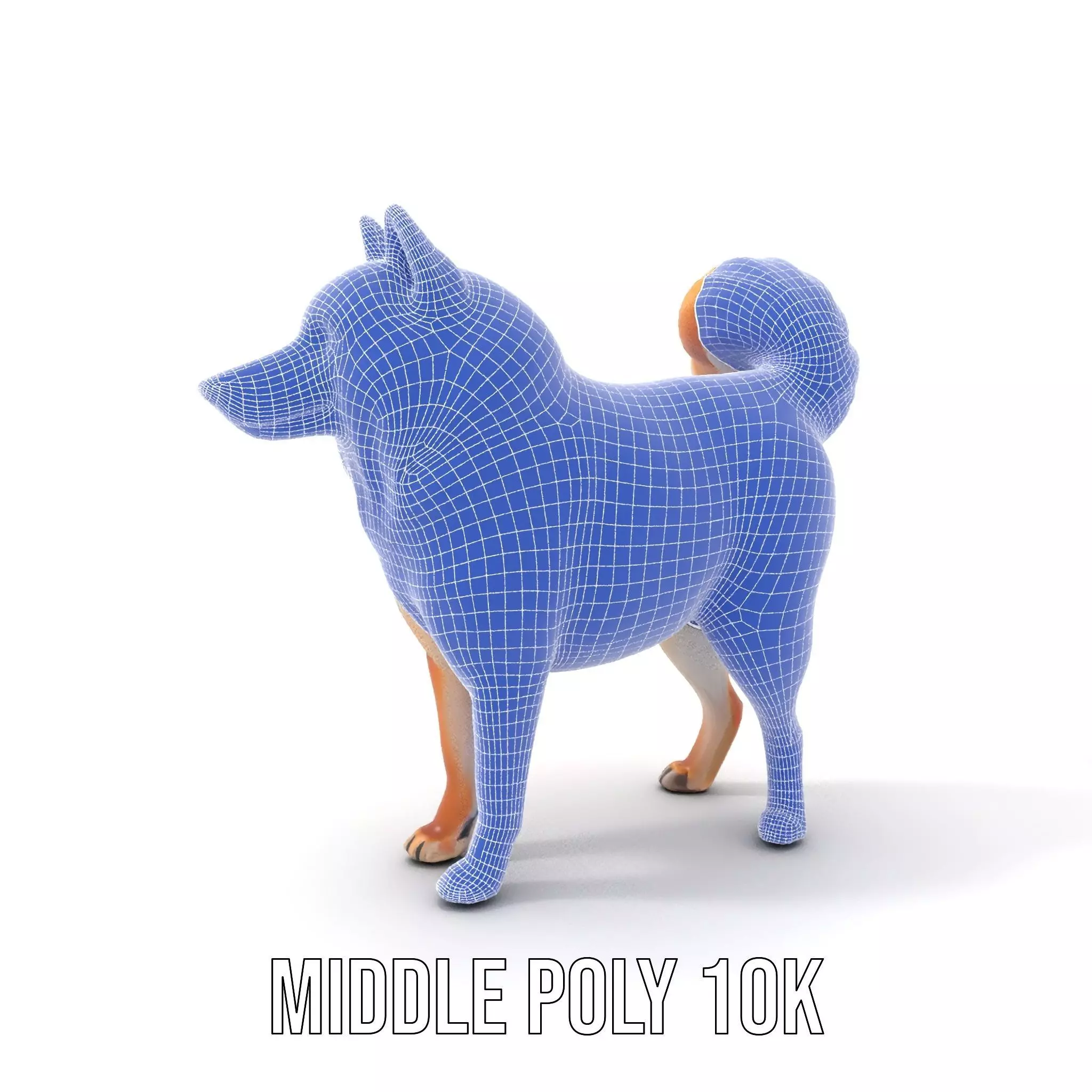 Shiba Inu Fur model pack Low-poly 3D model_24