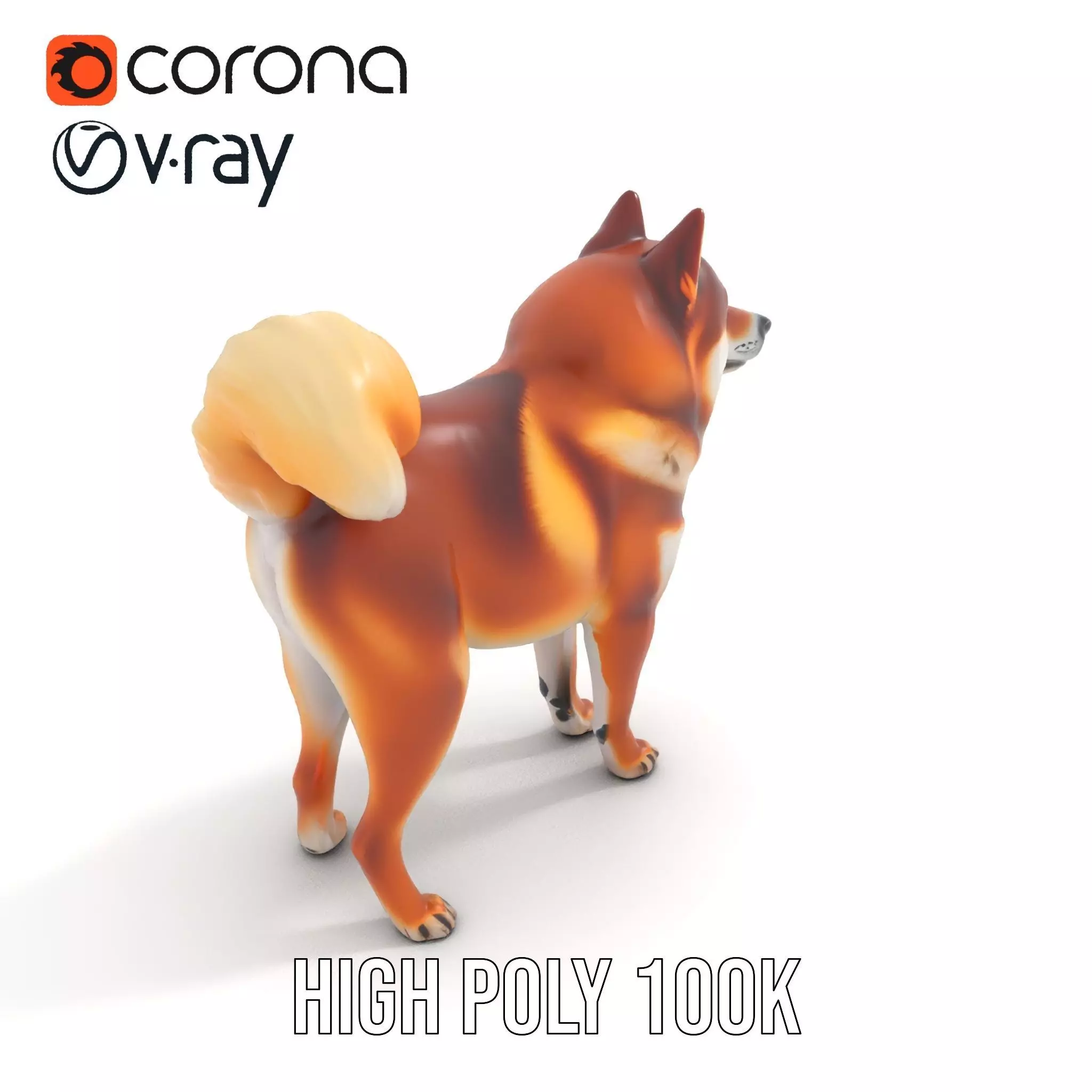 Shiba Inu Fur model pack Low-poly 3D model_13