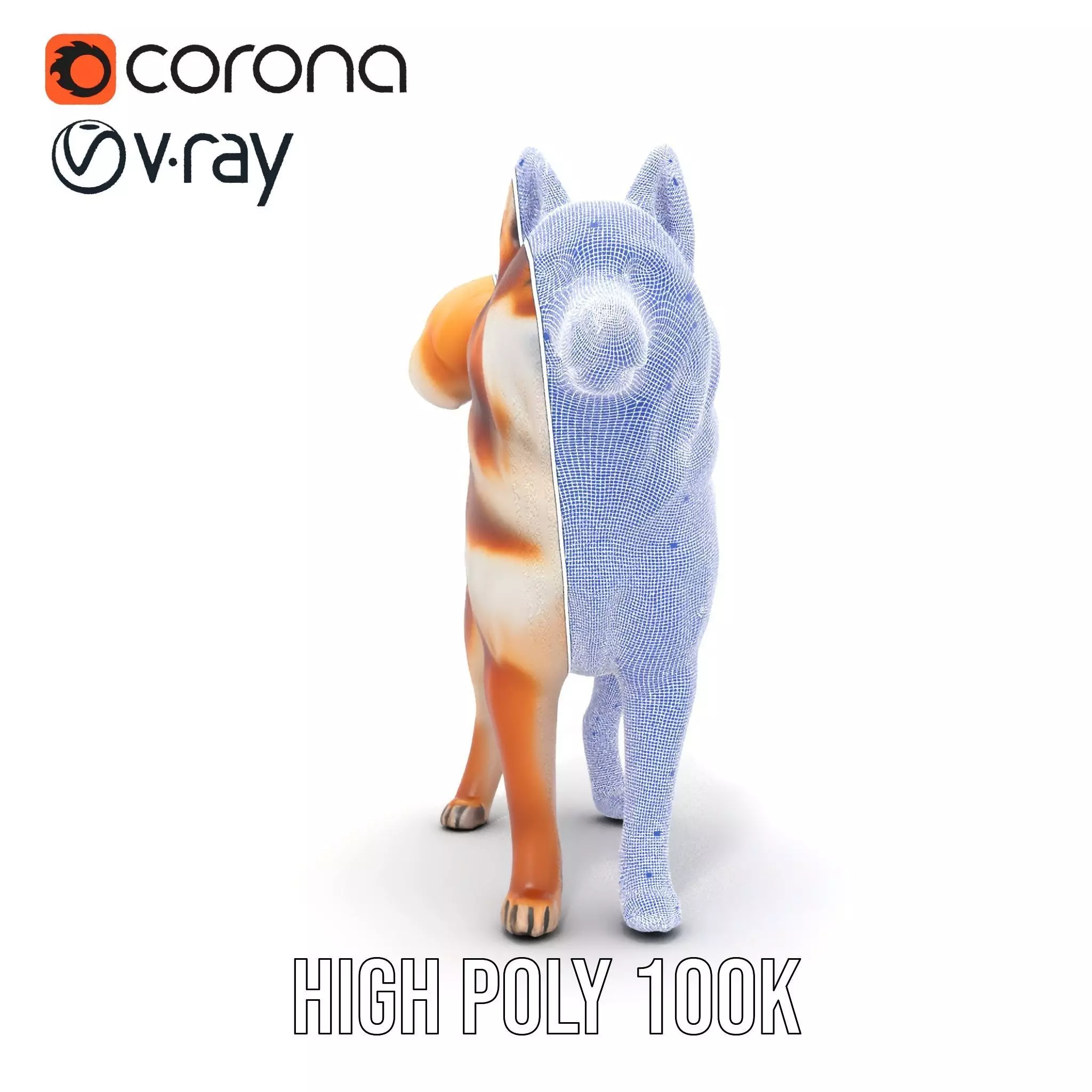 Shiba Inu Fur model pack Low-poly 3D model_29