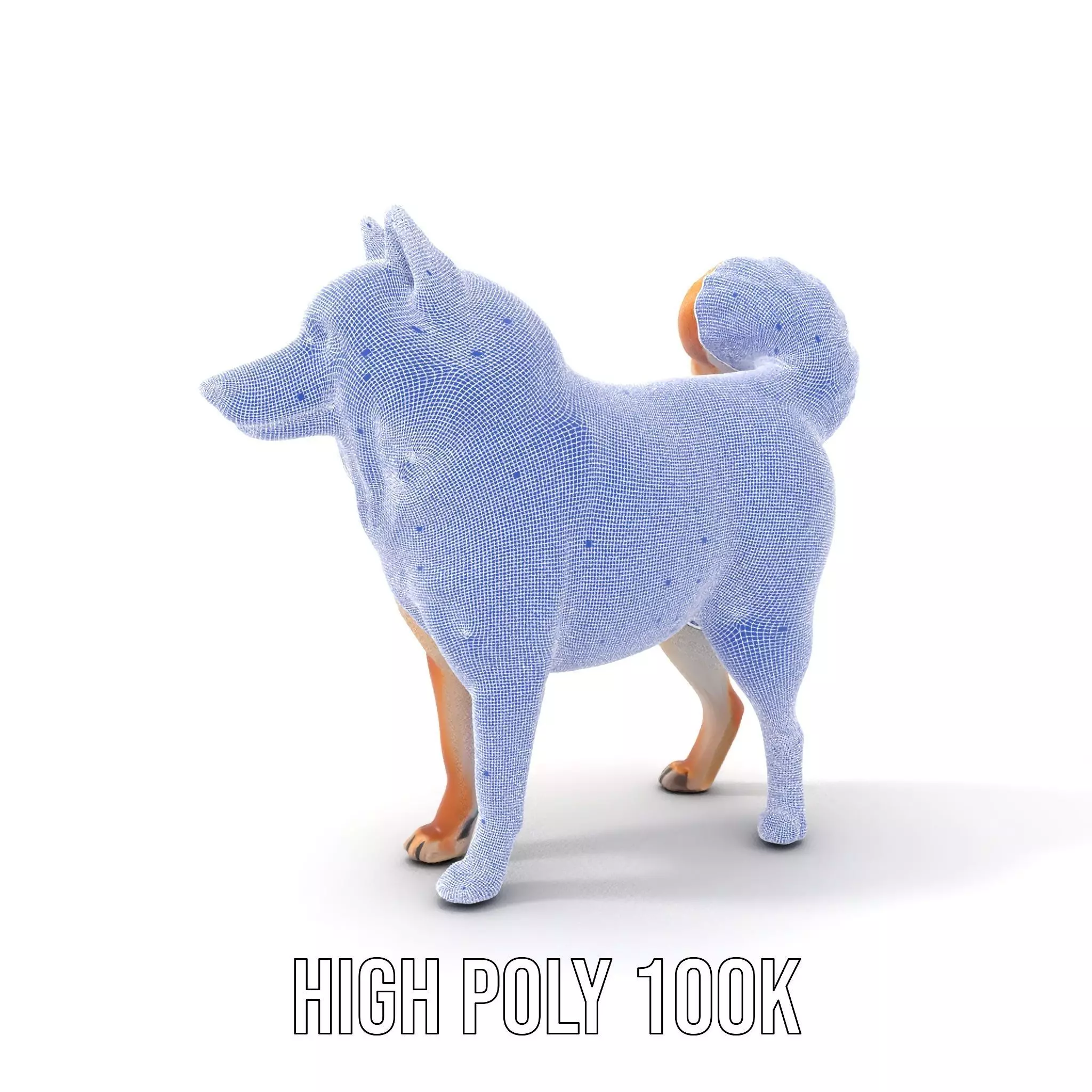 Shiba Inu Fur model pack Low-poly 3D model_4