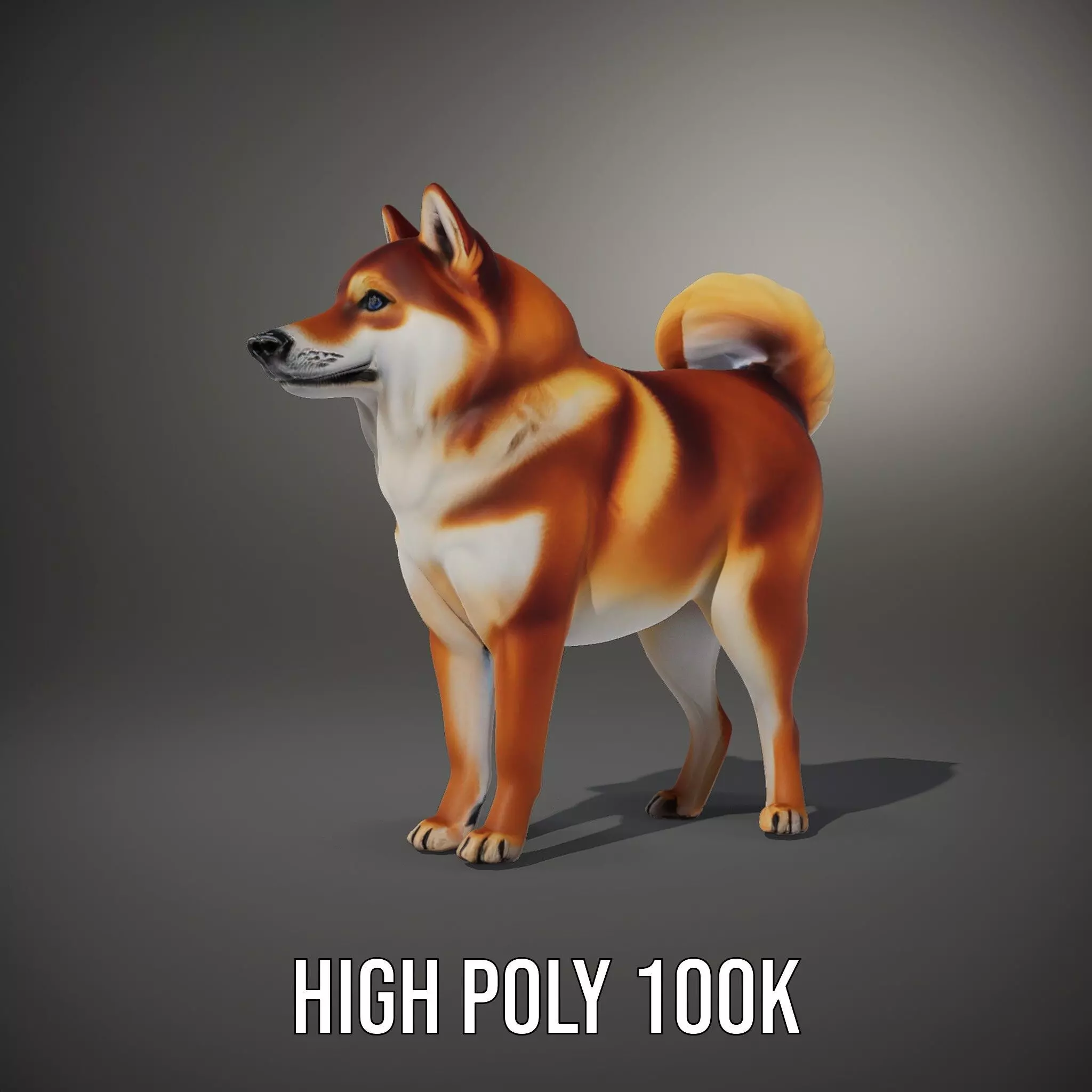 Shiba Inu Fur model pack Low-poly 3D model_10