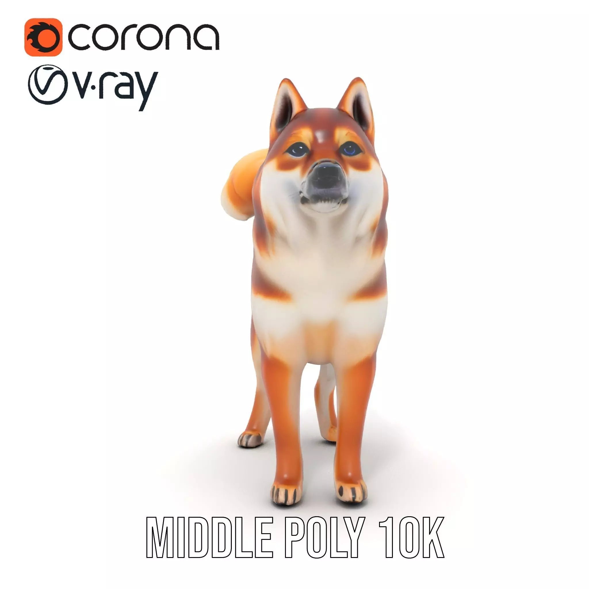 Shiba Inu Fur model pack Low-poly 3D model_14
