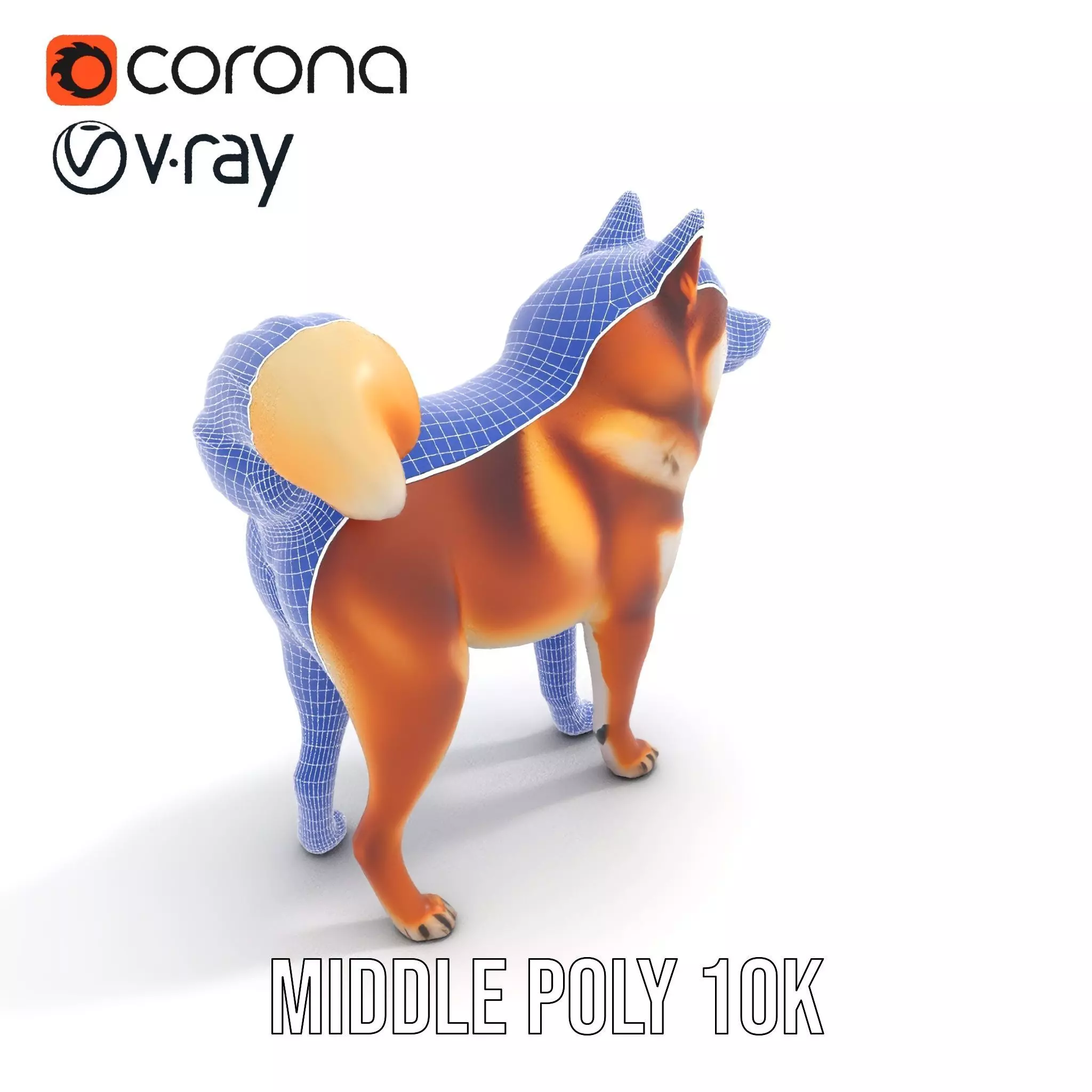 Shiba Inu Fur model pack Low-poly 3D model_27