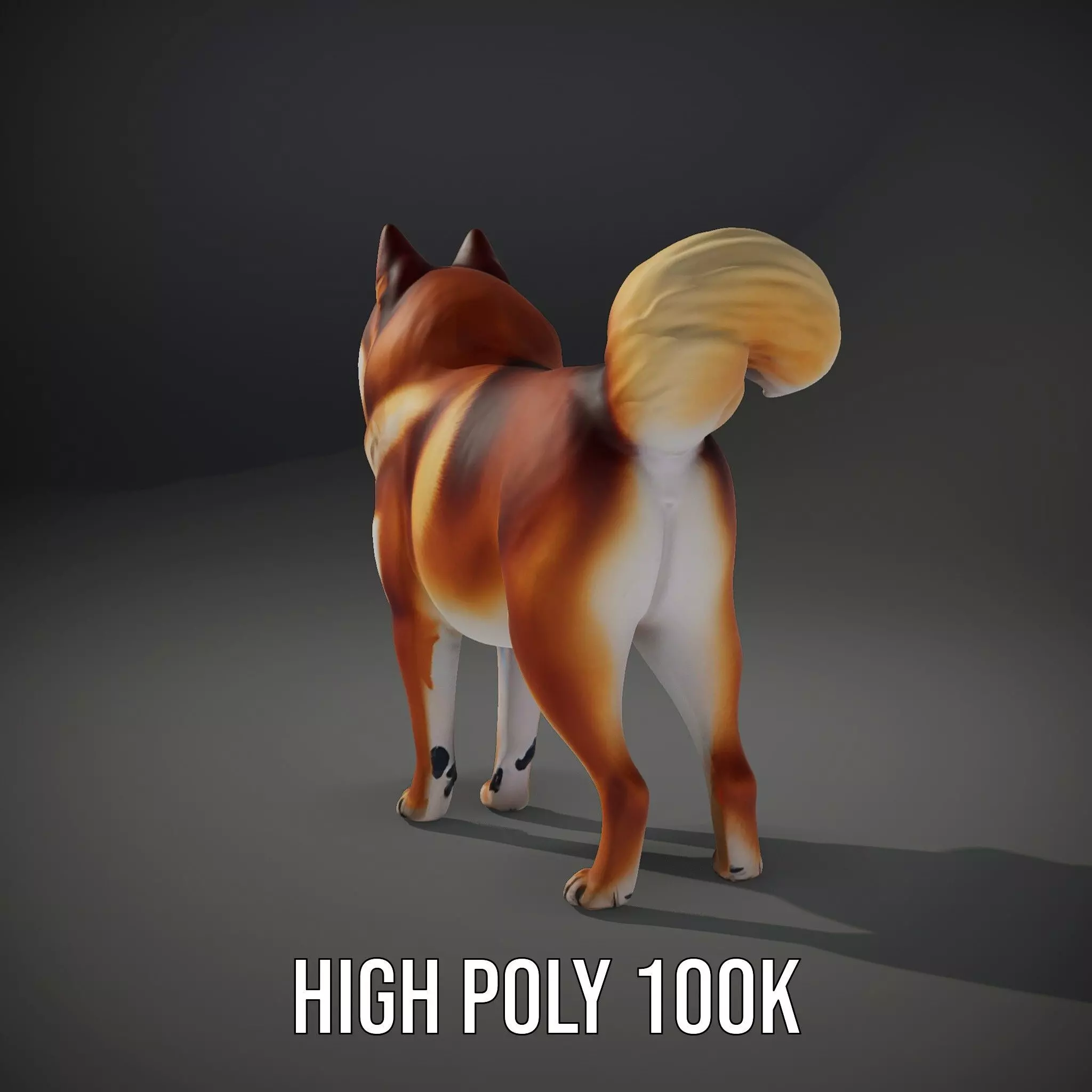 Shiba Inu Fur model pack Low-poly 3D model_8