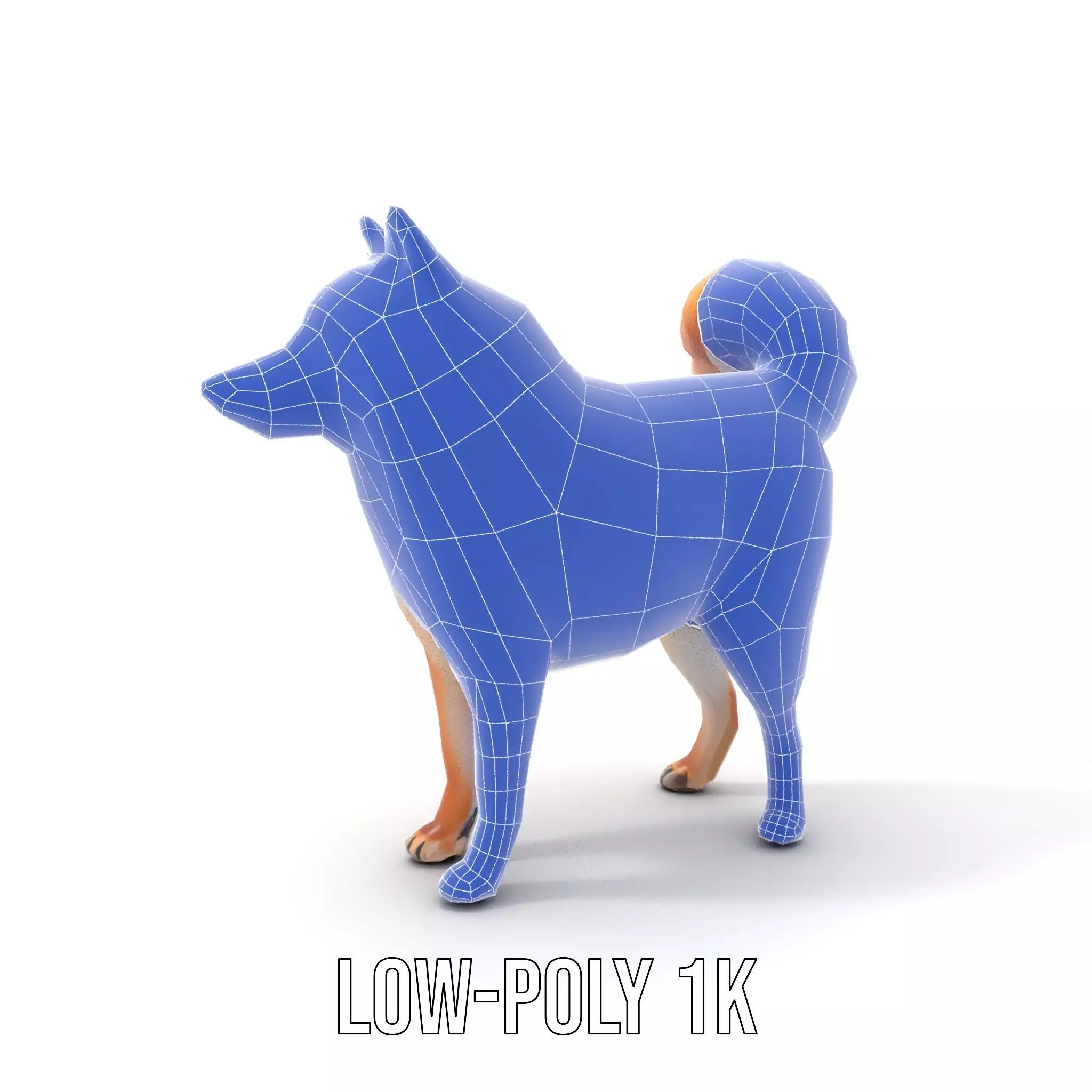 Shiba Inu Fur model pack Low-poly 3D model_15