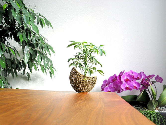 A burgeoning capsule Planter 3D print model
