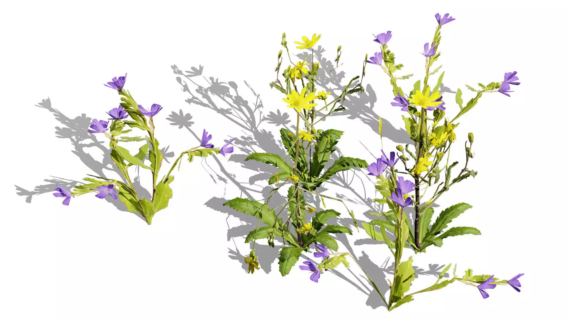 Wild Game Ready Foliage Low-poly 3D model_4